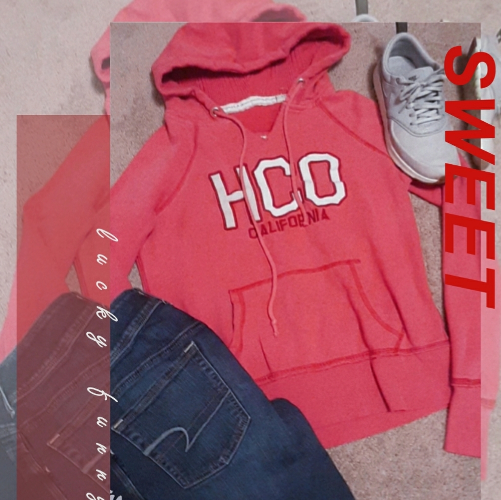 Pink Hollister HCo pullover hoodie